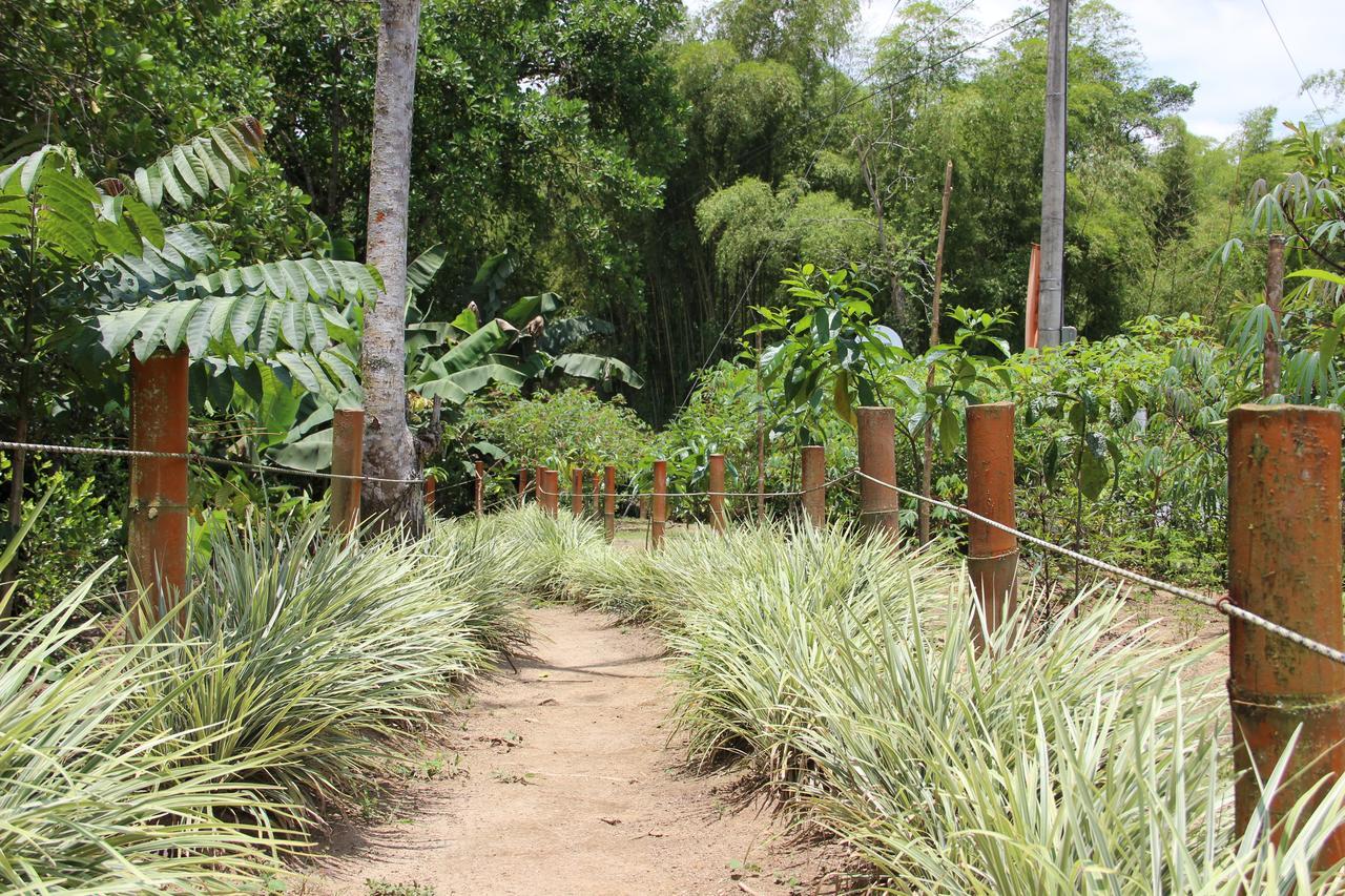 Casa Campestre Terrazas Del Palmar 호텔 몬테네그로 외부 사진