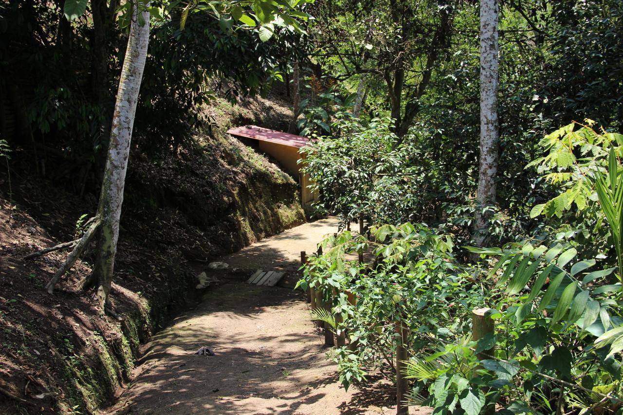 Casa Campestre Terrazas Del Palmar 호텔 몬테네그로 외부 사진